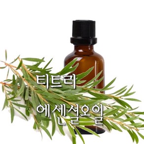 허니솝 티트리 아로마 에센셜오일, 티트리 에센셜오일 100ml, 1개