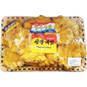 국산 최상급 장수상황버섯 바구니세트 동의한약나라, 500g, 1개