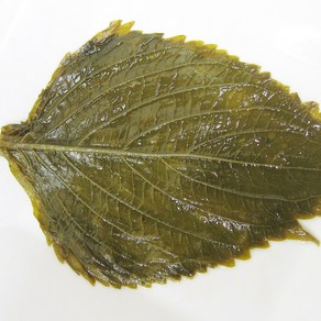 건영푸드 국산 깻잎지 염장 500g 손질잘된 소금 깻잎지