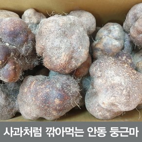 안동참마 알뜰 실속 5kg (크기크고 조금 울퉁불퉁)