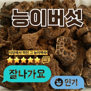 며느리약초 자연산 능이버섯 A급 (특품) 건조 100g, 1개, 100g(1개)