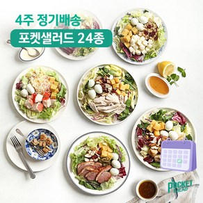 [포켓샐러드] 샐러드 4주 정기배송 주 5일 (베스트 샐러드_닭+크래미+치즈+숯불+훈제오리), 250g, 20개