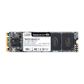 TeamGroup MS30 M.2 SATA (256GB)