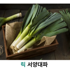 싱싱한 릭 leek 서양대파 생 릭 400g 500g 리크 외국 대파 벨기에 대파, 1개