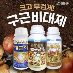 구근비대제 뿌리커 대근이 구근빅 크고 무겁게 비대제 인기제품, 뿌리커 500ml, 500ml, 1개