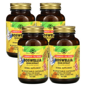 Solga boswellia esin extact 유향나무 아유르베다 솔가, 4개, 60정