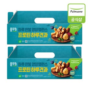 풀무원 프로틴 하루견과 세트 500g, 2개