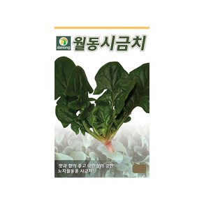 (DN) 월동시금치 씨앗(20g), 1개