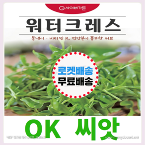 [OK씨앗] [워터크레스] 허브씨앗 종자(오케이씨앗), 1개