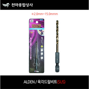 알덴 alden 육각드릴비트 SUS용 NO.606 임팩용 드릴날 육각드릴날 드라이버날 비트날 철기리날 2.0mm~15.0mm, 1개, 본품(배터리없음)