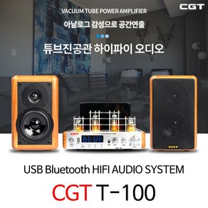 씨지텍 T-100 진공관앰프+H-100 하이파이오디오세트 CGT, 03.스피커(H-100)