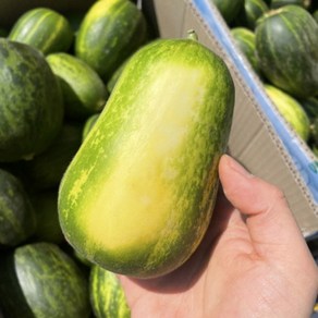 [산지직송 ] 제철 고령 고당도 파파야메론 개구리참외 가정용, 1개, 가정용 5kg 내외