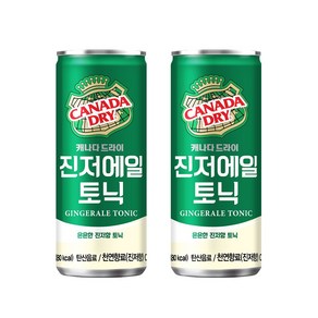 캐나다드라이 진저에일, 10개, 250ml