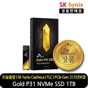 SK하이닉스 GOLD P31 NVMe SSD