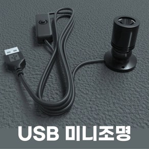 컴위즈 피규어조명 진열장 장식장 미니LED조명 전구 USB 라이트 핀조명, 블랙(스위치)1구, 1개, 웜화이트