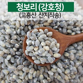 [진도장모와서울큰사위] 24년산 햇곡 출시 흑보리 청보리 자색보리 늘보리 찰보리 쌀 1kg 단위 칼라보리, 1개, 청보리 1kg