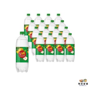 해태음료 갈배 사이다, 1L, 12개