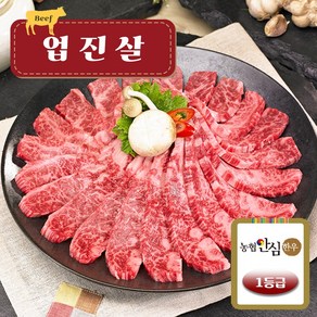 [농협안심한우] 1등급 한우 업진살 500g  구이(냉장), 1개