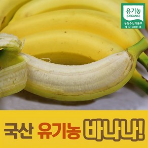 국내산 산청 유기농 바나나, 2.5kg, 1세트