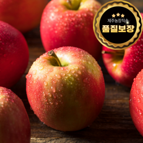 [산지직송] 경북에서 갓 수확한 꿀사과 당도선별 부사, 1박스, 중과 3kg