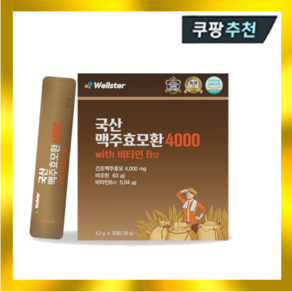 웰스터 국산 맥주효모환 4000 4.2g x 30포