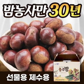 [밤농사30년] 진짜큰 햇밤 충주 생율 밤 생밤 석추 왕밤 선물용 제수용, 1박스, 2kg