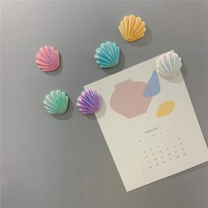 리빙준 초강력 예쁜 인테리어 오로라 조개 냉장고 자석, 혼합색상, 6개