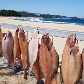 반건조 기름가자미(대) 6미, 1개