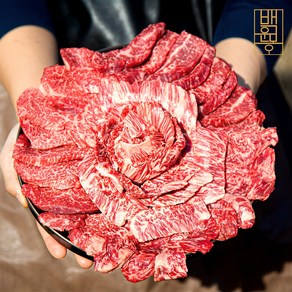 [백운몽] 1++한우 투뿔 특수부위 모둠 구이세트 600g/1kg, 1++한우 특수부위 모둠600g, 1세트