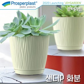 [조이가든] Pospepalst 샌디P 화분 (받침포함), 다크그레이