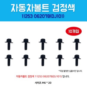 카박사 DJ101 자동차볼트 1125306207B 10개입 보도10mm 볼트너트 육각머리