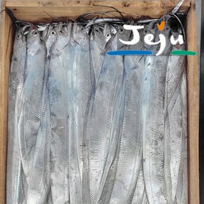 김장용 갈치 생물 제주 은갈치 10kg 1박스 김장갈치 생갈치 통갈치 제주한림수산, 1개, 생갈치원물10kg