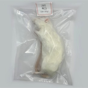 냉동 래트 레트 렛 1마리 [특대] 290~390g (진공포장), 1개, 350g