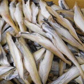 [자갈치맘] 온가존 영양간식 오동통 살오른 두절노가리 1kg (미수 40미 1kg 전후), 1개