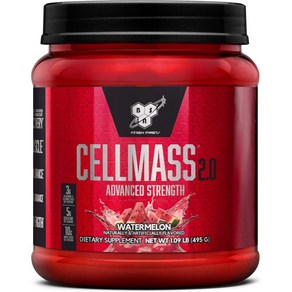 BSN 쎌매스 2.0 아크틱 베리 맛 495g, 1개