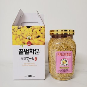 화분 비폴렌 500g, 1개