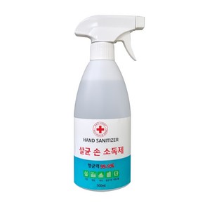 에버클린케어 손소독액 500ml, 1개