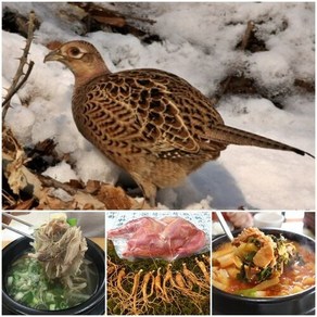 태백산 꿩고기 암꿩 까투리 숫꿩 장끼 보양식 약선요리, 1개, 1kg