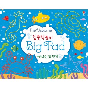 집중력놀이 Big Pad 신나는 점 잇기