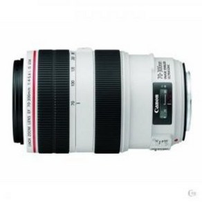 캐논 EF 70-300mm F4-5.6L IS USM [ CNC ]