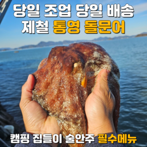 [당일조업직송] 특상급 통영 돌문어 활문어 활돌문어 마켓일곱시, 1개, 돌문어 1kg(1-3미)