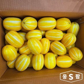 웅스팜 성주 참외, 1개, 못난이 참외 10kg
