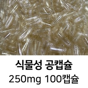 식물성 공캡슐 100캡슐 - 식약처허가 FDA 할랄 코셔 ISO등 인증제품, 1개