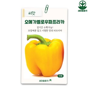 다농 파프리카씨앗 10립 노란색 피망 종자, 1개