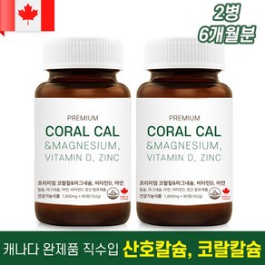 내추럴영 (1+1 이벤트행사) 프리미엄 코랄칼슘 산호칼슘 6개월분, 162g, 2개