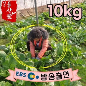 [여수돌산애] 여수 돌산갓 돌산 생갓 5kg 10kg {대량납품전문} 당일수확 산지직송 청갓 갓장아찌용 갓피클용 김장용 갓김치용 여수갓, 1개