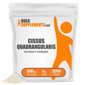 벌크서플리먼츠닷컴 시서스 분말 500mg 1kg 씨서스 시저스 씨저스, 1개