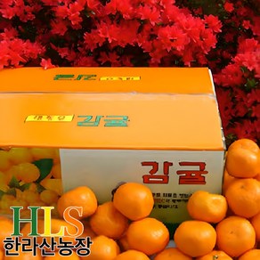 한라산농장 귤 10KG 중대과 L~2L 홍보용 불만족 시 무료반품