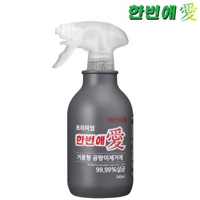 한번애 거품형 프리미엄 곰팡이제거제 (540ml) 벽지 벽 화장실 욕실 베란다 창틀 지하실, 거품형 한번애 540ml (1통), 1개, 540ml