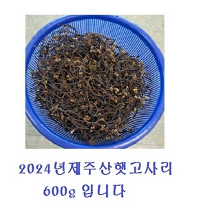 2024년제주산 햇고사리 삼겹살용 고사리나물용 제사용고사리 건고사리, 600g, 1개